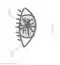 Fig. 80 - Eye glint imaging in see-through computer display systems