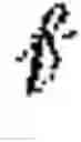 Fig. 05 - UNIVERSAL TRANSLATOR FOR RECOGNIZING NONSTANDARD GESTURES