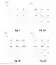Fig. 03 - Probability-based approach to recognition of user-entered data