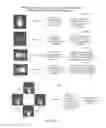 Fig. 27 - System and method for executing a process using accelerometer signals