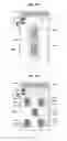 Fig. 15 - Smartphone
