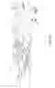 Fig. 12 - Drag-and-drop on a mobile device