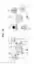 Fig. 49 - MOBILE TERMINAL AND CONTROL METHOD THEREOF