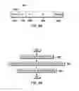 Fig. 10 - Controlling execution of threads in a multi-threaded processor