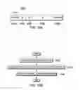 Fig. 11 - Controlling execution of threads in a multi-threaded processor