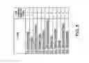Fig. 06 - Generating an evolving set of test cases