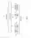 Fig. 04 - Apparatus and Method of Throttling Hardware Pre-fetch