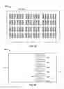 Fig. 06 - Tearable displays with partial tears defined by extrapolated paths