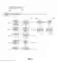 Fig. 04 - Automatic detection of queries missing order-by via unit test