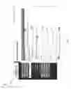 Fig. 10 - Generating an Ambulatory Surgical Center (ASC) Electronic Medical Record (EMR)