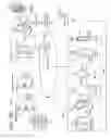 Fig. 03 - Subcutaneous outpatient management