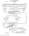 Fig. 20 - Subcutaneous outpatient management