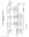 Fig. 32 - Subcutaneous outpatient management