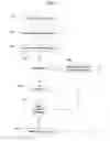 Fig. 05 - Identity theft countermeasures