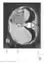 Fig. 03 - Image visualization