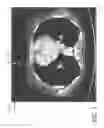 Fig. 04 - Image visualization