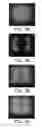 Fig. 05 - Press sheet for fingerprint reader and fingerprint reader
