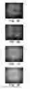 Fig. 06 - Press sheet for fingerprint reader and fingerprint reader