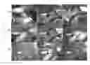 Fig. 01 - Method for driver face detection in videos