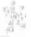 Fig. 46 - Direct personal mobile device user to service provider secure transaction channel