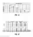 Fig. 06 - PROCESS AND APPARATUS FOR ASSIGNING A MATCH CONFIDENCE METRIC FOR INFERRED MATCH MODELING