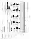 Fig. 19 - Systems and methods for planning, executing, and reporting a strategic advertising campaign for television