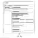 Fig. 13 - SYSTEM AND METHOD FOR ORGANIZING AND PRESENTING MULTIPLE ADVERTISERS IN ONLINE ADVERTISEMENTS