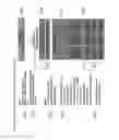 Fig. 40 - SYSTEM FOR MANAGING INTANGIBLE ASSETS