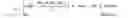 Fig. 08 - Image zooming