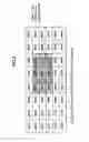 Fig. 05 - Partial expansion method of encoded images and image processing apparatus