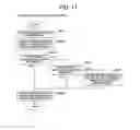 Fig. 18 - Partial expansion method of encoded images and image processing apparatus