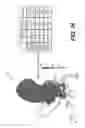 Fig. 16 - Method and system for image processing to determine patient-specific blood flow characteristics