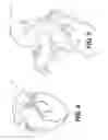 Fig. 05 - Method and system for image processing to determine patient-specific blood flow characteristics