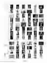 Fig. 08 - Automatic, computer-based detection of triangular compositions in digital photographic images