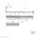 Fig. 03 - Memory management in event recording systems
