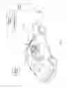 Fig. 02 - System for causing garage door opener to open garage door and method