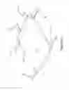 Fig. 05 - ARTICLE FOR TEACHING CHILD TO RIDE BICYCLE