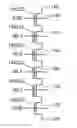 Fig. 01 - Word line dependent two strobe sensing mode for nonvolatile storage elements
