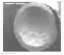 Fig. 01 - COMPOSITE METAL FOAM AND METHOD OF PREPARATION THEREOF