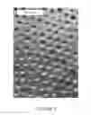 Fig. 03 - COMPOSITE METAL FOAM AND METHOD OF PREPARATION THEREOF