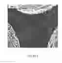 Fig. 05 - COMPOSITE METAL FOAM AND METHOD OF PREPARATION THEREOF