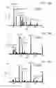 Fig. 20 - Synchronization of ion generation with cycling of a discontinuous atmospheric interface