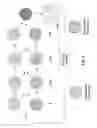 Fig. 03 - Minimal Contact Wet Processing Systems and Methods