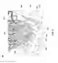 Fig. 06 - Minimal Contact Wet Processing Systems and Methods