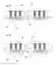 Fig. 12 - Molding compound supported RDL for IC package