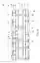 Fig. 08 - Fabrication method of embedded chip substrate