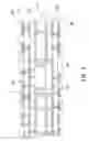 Fig. 12 - Fabrication method of embedded chip substrate