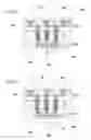 Fig. 23 - Molding compound supported RDL for IC package
