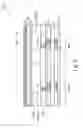 Fig. 03 - Metal shielding layer in backside illumination image sensor chips and methods for forming the same