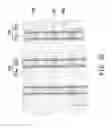 Fig. 07 - Resistive random access memory and method for manufacturing the same